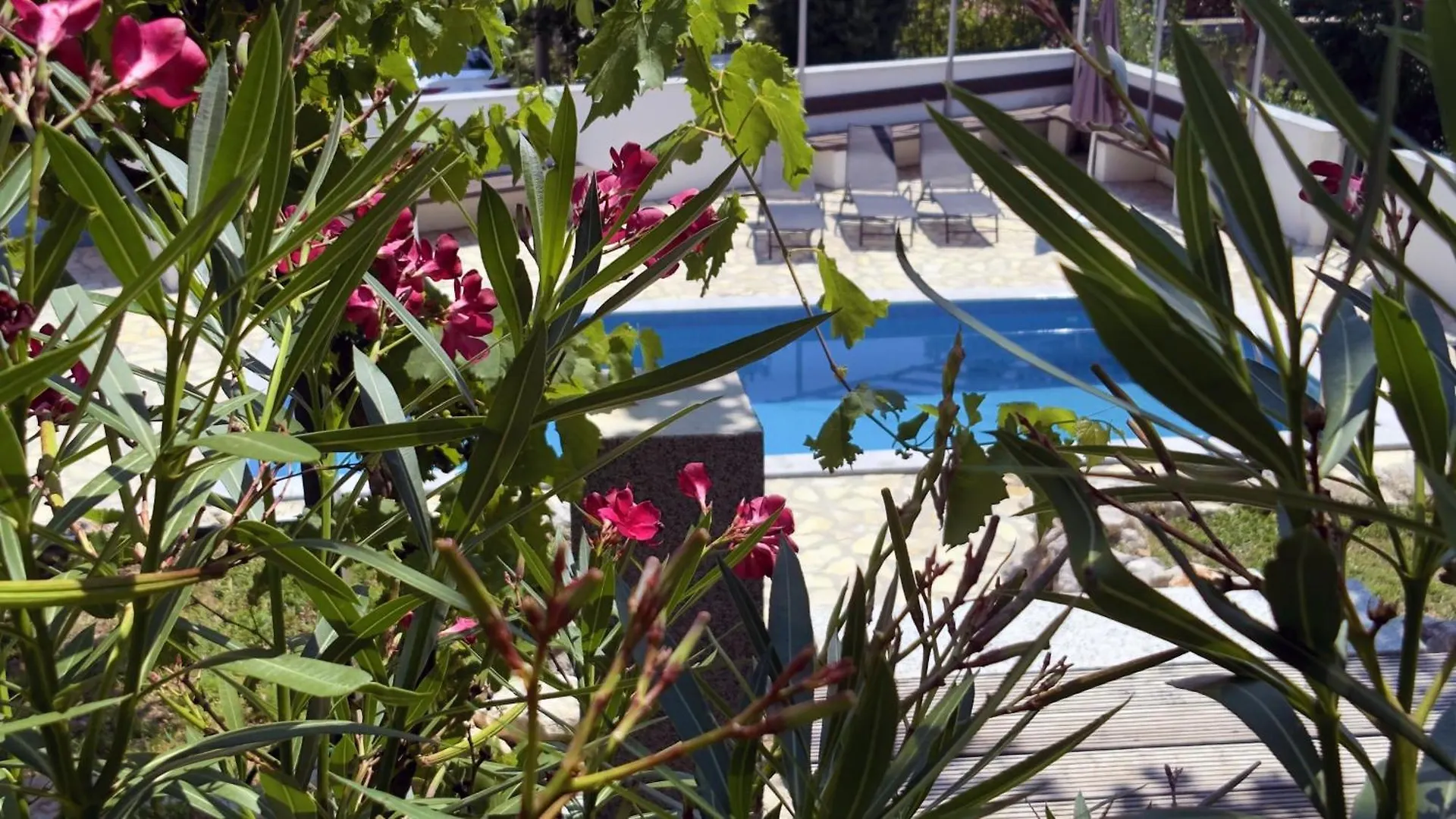 Aryve Boutique-Ferienvilla Mit Meerblick, Pool Und Design-Interieur In Bribir Bribir  Bribir (Primorje-Gorski Kotar)